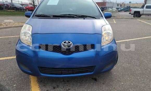 Buy Import Toyota Yaris Blue Car in Djambala in uplands Buy Import Toyota Yaris Blue Car in Djambala in uplands