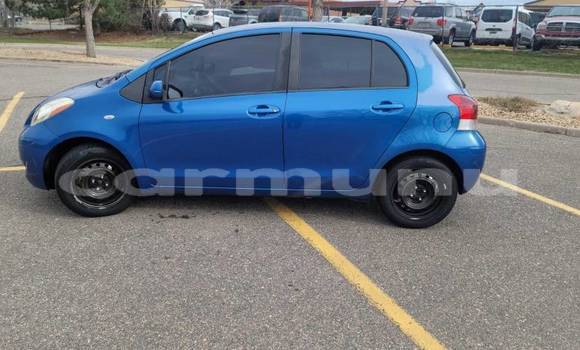 Buy Import Toyota Yaris Blue Car in Djambala in uplands Buy Import Toyota Yaris Blue Car in Djambala in uplands