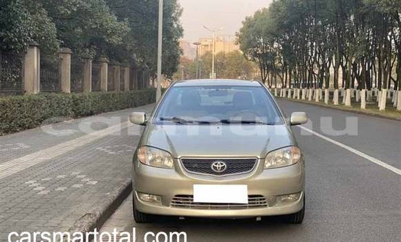 Buy Used Toyota Vios Silver Car in Djambala in uplands Buy Used Toyota Vios Silver Car in Djambala in uplands