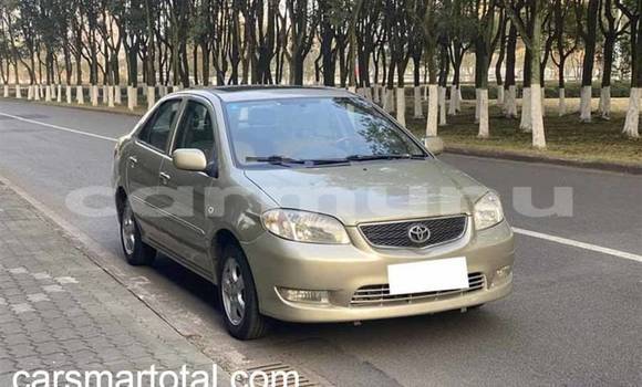 Buy Used Toyota Vios Silver Car in Djambala in uplands Buy Used Toyota Vios Silver Car in Djambala in uplands