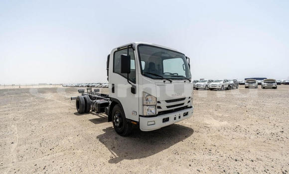Buy New Isuzu NPR 85H White Truck in Import - Dubai in Region of Bouenza Buy New Isuzu NPR 85H White Truck in Import - Dubai in Region of Bouenza