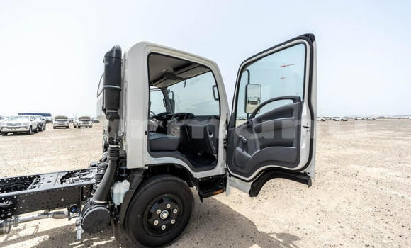 Buy New Isuzu NPR 85H White Truck in Import - Dubai in Region of Bouenza Buy New Isuzu NPR 85H White Truck in Import - Dubai in Region of Bouenza
