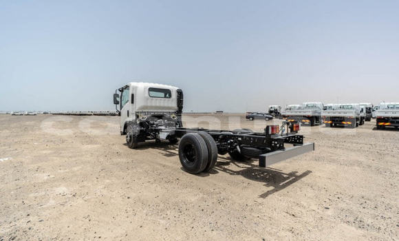 Buy New Isuzu NPR 85H White Truck in Import - Dubai in Region of Bouenza Buy New Isuzu NPR 85H White Truck in Import - Dubai in Region of Bouenza