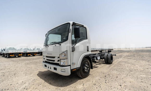 Buy New Isuzu NPR 85H White Truck in Import - Dubai in Region of Bouenza Buy New Isuzu NPR 85H White Truck in Import - Dubai in Region of Bouenza