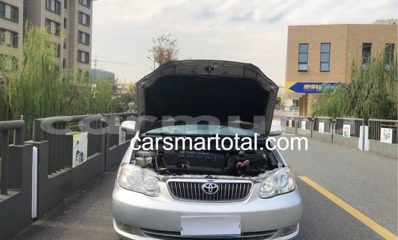 Buy Used Toyota Corolla Silver Car in Brazzaville in Municipality of Brazzaville Buy Used Toyota Corolla Silver Car in Brazzaville in Municipality of Brazzaville