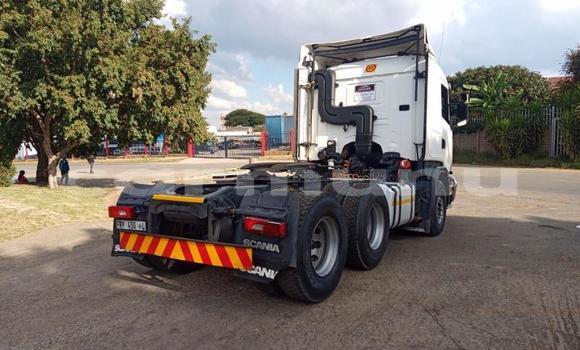 Acheter Occasion Utilitaire Scania R420 Autre à Import - Dubai, Région de la Bouenza Acheter Occasion Utilitaire Scania R420 Autre à Import - Dubai, Région de la Bouenza