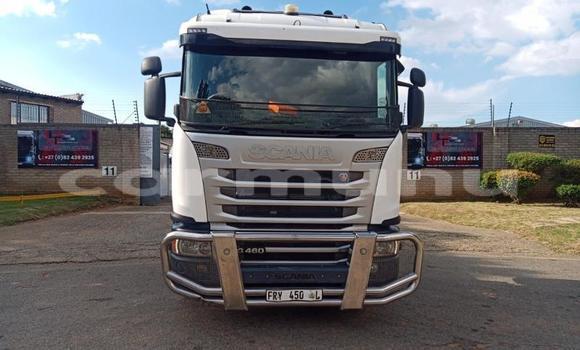 Acheter Occasion Utilitaire Scania R420 Autre à Import - Dubai, Région de la Bouenza Acheter Occasion Utilitaire Scania R420 Autre à Import - Dubai, Région de la Bouenza
