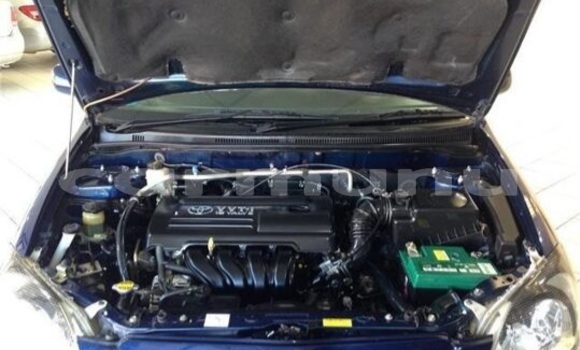 Acheter Occasion Voiture Toyota Runx Bleu à Import - Dubai, Région de la Bouenza Acheter Occasion Voiture Toyota Runx Bleu à Import - Dubai, Région de la Bouenza