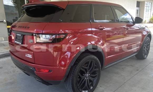 Buy Import Land Rover Range Rover Evoque Red Car in Kinkala in pool Buy Import Land Rover Range Rover Evoque Red Car in Kinkala in pool