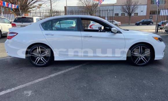 Buy Import Honda Accord White Car in Madingou in Region of Bouenza Buy Import Honda Accord White Car in Madingou in Region of Bouenza