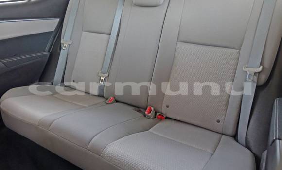 Buy Import Toyota Corolla Black Car in Djambala in uplands Buy Import Toyota Corolla Black Car in Djambala in uplands