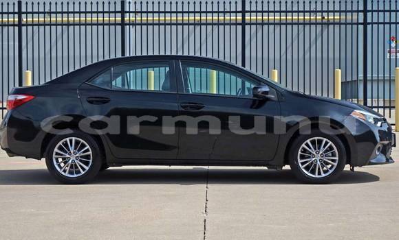Buy Import Toyota Corolla Black Car in Djambala in uplands Buy Import Toyota Corolla Black Car in Djambala in uplands