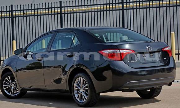 Buy Import Toyota Corolla Black Car in Djambala in uplands Buy Import Toyota Corolla Black Car in Djambala in uplands