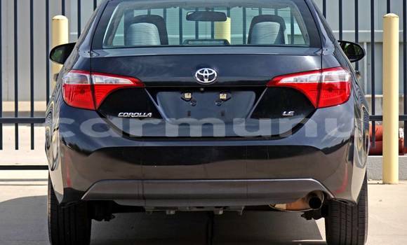 Buy Import Toyota Corolla Black Car in Djambala in uplands Buy Import Toyota Corolla Black Car in Djambala in uplands