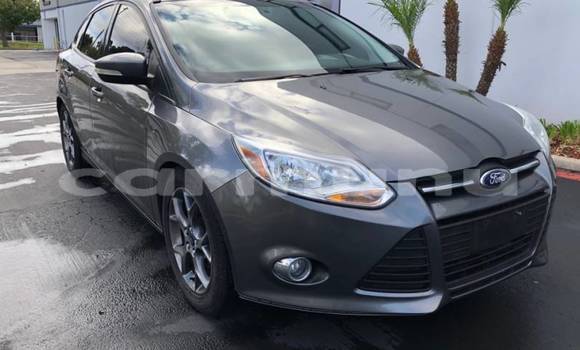 Buy Import Ford Focus (North America) Silver Car in Black Point in Kouilou region Buy Import Ford Focus (North America) Silver Car in Black Point in Kouilou region