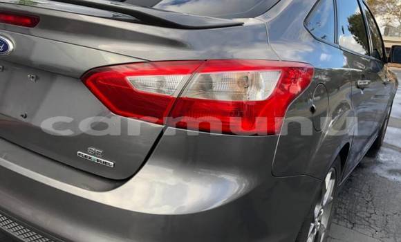 Buy Import Ford Focus (North America) Silver Car in Black Point in Kouilou region Buy Import Ford Focus (North America) Silver Car in Black Point in Kouilou region