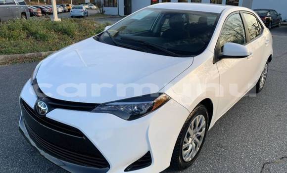 Buy Import Toyota Corolla White Car in Brazzaville in Municipality of Brazzaville Buy Import Toyota Corolla White Car in Brazzaville in Municipality of Brazzaville