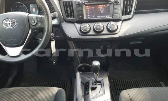 Buy Import Toyota RAV4 Other Car in Brazzaville in Municipality of Brazzaville Buy Import Toyota RAV4 Other Car in Brazzaville in Municipality of Brazzaville