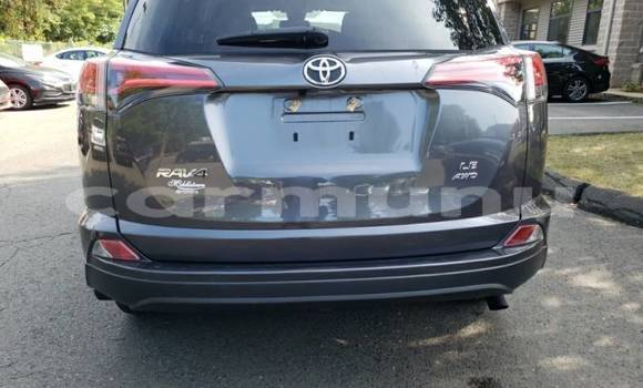 Buy Import Toyota RAV4 Other Car in Brazzaville in Municipality of Brazzaville Buy Import Toyota RAV4 Other Car in Brazzaville in Municipality of Brazzaville