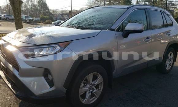 Buy Import Toyota RAV4 Silver Car in Brazzaville in Municipality of Brazzaville Buy Import Toyota RAV4 Silver Car in Brazzaville in Municipality of Brazzaville