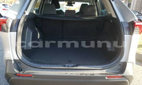 Buy Import Toyota RAV4 Silver Car in Brazzaville in Municipality of Brazzaville Buy Import Toyota RAV4 Silver Car in Brazzaville in Municipality of Brazzaville