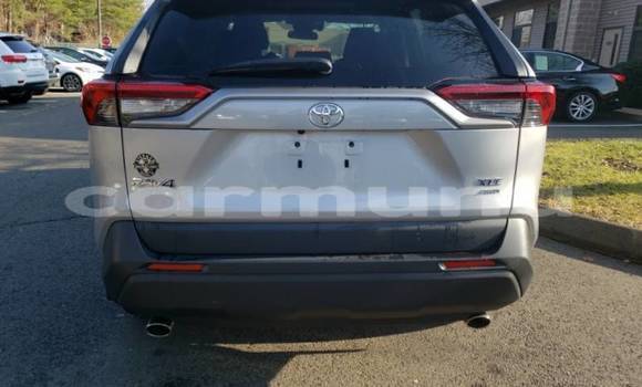 Buy Import Toyota RAV4 Silver Car in Brazzaville in Municipality of Brazzaville Buy Import Toyota RAV4 Silver Car in Brazzaville in Municipality of Brazzaville