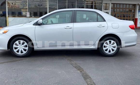 Buy Import Toyota Corolla Silver Car in Black Point in Kouilou region Buy Import Toyota Corolla Silver Car in Black Point in Kouilou region