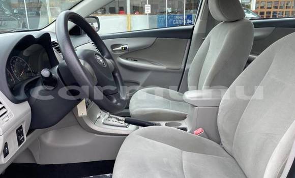 Buy Import Toyota Corolla Silver Car in Black Point in Kouilou region Buy Import Toyota Corolla Silver Car in Black Point in Kouilou region