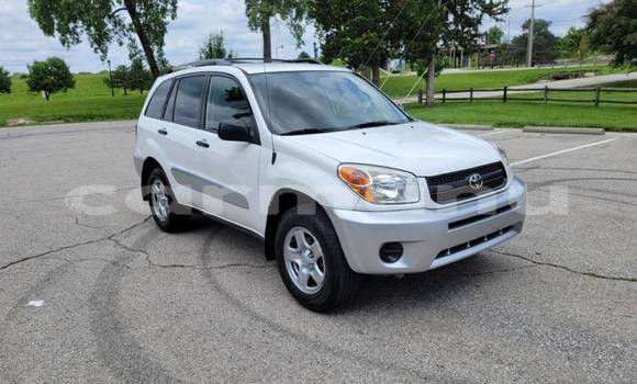Buy Import Toyota RAV4 White Car in Brazzaville in Municipality of Brazzaville Buy Import Toyota RAV4 White Car in Brazzaville in Municipality of Brazzaville