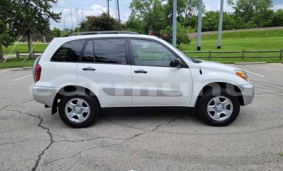 Buy Import Toyota RAV4 White Car in Brazzaville in Municipality of Brazzaville Buy Import Toyota RAV4 White Car in Brazzaville in Municipality of Brazzaville