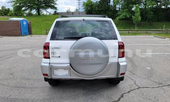 Buy Import Toyota RAV4 White Car in Brazzaville in Municipality of Brazzaville Buy Import Toyota RAV4 White Car in Brazzaville in Municipality of Brazzaville