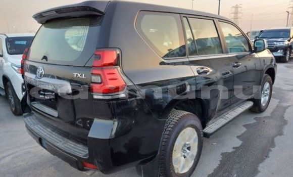 Buy Import Toyota Land Cruiser Prado Black Car in Brazzaville in Municipality of Brazzaville Buy Import Toyota Land Cruiser Prado Black Car in Brazzaville in Municipality of Brazzaville