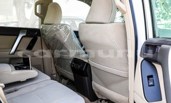Buy Import Toyota Land Cruiser Prado White Car in Brazzaville in Municipality of Brazzaville Buy Import Toyota Land Cruiser Prado White Car in Brazzaville in Municipality of Brazzaville