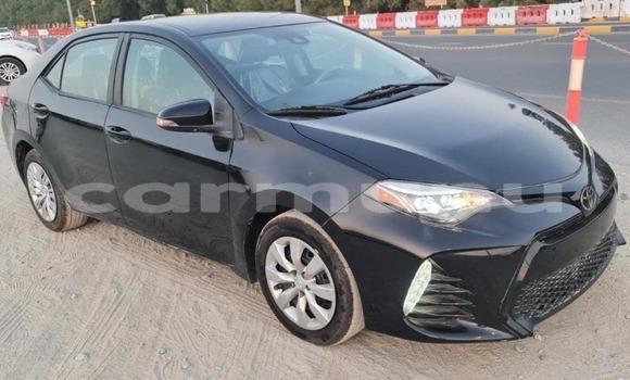 Acheter Occasion Voiture Toyota RAV4 Blanc à Pointe–Noire, Région du Kouilou Acheter Occasion Voiture Toyota RAV4 Blanc à Pointe–Noire, Région du Kouilou