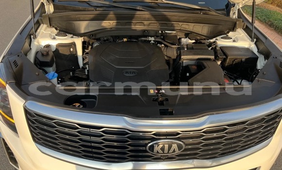 Acheter Occasion Voiture Kia Quanlima Blanc à Pointe–Noire, Région du Kouilou Acheter Occasion Voiture Kia Quanlima Blanc à Pointe–Noire, Région du Kouilou