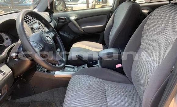 Acheter Occasion Voiture Toyota RAV4 Gris à Pointe–Noire, Région du Kouilou Acheter Occasion Voiture Toyota RAV4 Gris à Pointe–Noire, Région du Kouilou