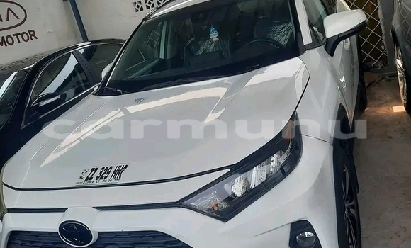 Acheter Import Voiture Toyota RAV4 Blanc à Brazzaville, Commune de Brazzaville