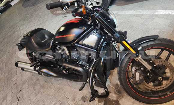 Buy Used Harley Davidson VRSC Black Bike in Brazzaville in Municipality of Brazzaville Buy Used Harley Davidson VRSC Black Bike in Brazzaville in Municipality of Brazzaville