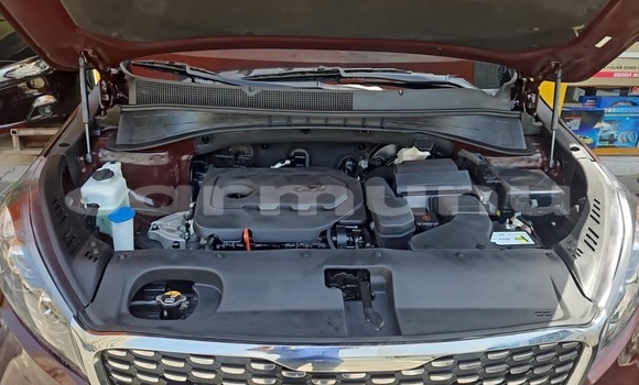 Acheter Occasion Voiture Kia Sorento Autre à Pointe–Noire, Région du Kouilou Acheter Occasion Voiture Kia Sorento Autre à Pointe–Noire, Région du Kouilou