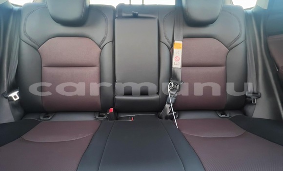 Buy New Toyota Urban Cruiser Black Car in Black Point in Kouilou region Buy New Toyota Urban Cruiser Black Car in Black Point in Kouilou region