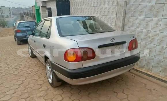 Buy Used Toyota Corolla Other Car in Black Point in Kouilou region Buy Used Toyota Corolla Other Car in Black Point in Kouilou region