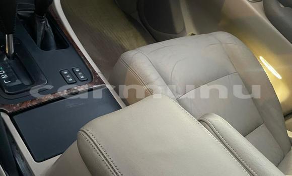 Acheter Occasion Voiture Toyota Land Cruiser Rouge à Pointe–Noire, Région du Kouilou Acheter Occasion Voiture Toyota Land Cruiser Rouge à Pointe–Noire, Région du Kouilou