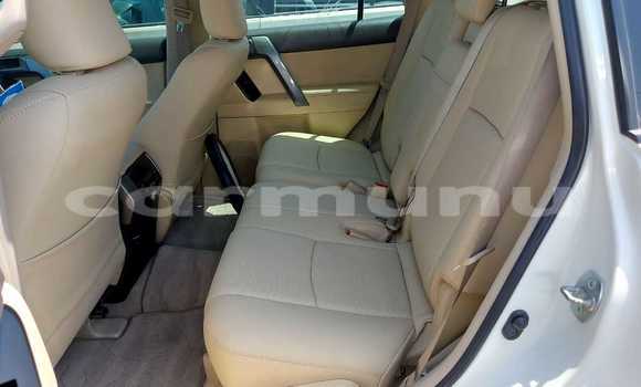 Buy Used Toyota Land Cruiser Prado White Car in Black Point in Kouilou region Buy Used Toyota Land Cruiser Prado White Car in Black Point in Kouilou region