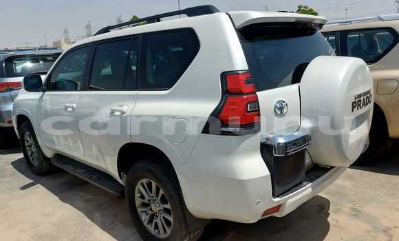Buy Used Toyota Land Cruiser Prado White Car in Black Point in Kouilou region Buy Used Toyota Land Cruiser Prado White Car in Black Point in Kouilou region