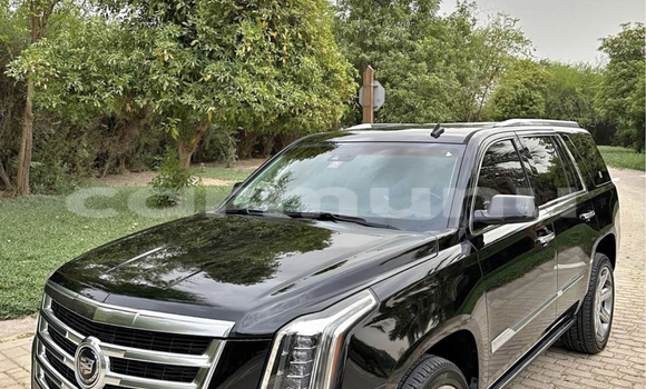 Acheter Occasion Voiture Cadillac Fleetwood Noir à Pointe–Noire, Région du Kouilou Acheter Occasion Voiture Cadillac Fleetwood Noir à Pointe–Noire, Région du Kouilou