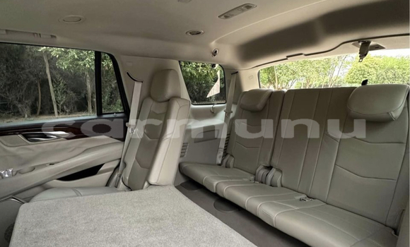 Acheter Occasion Voiture Cadillac Fleetwood Noir à Pointe–Noire, Région du Kouilou Acheter Occasion Voiture Cadillac Fleetwood Noir à Pointe–Noire, Région du Kouilou