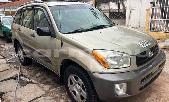 Acheter Neuf Voiture Toyota RAV4 Beige à Brazzaville, Commune de Brazzaville Acheter Neuf Voiture Toyota RAV4 Beige à Brazzaville, Commune de Brazzaville