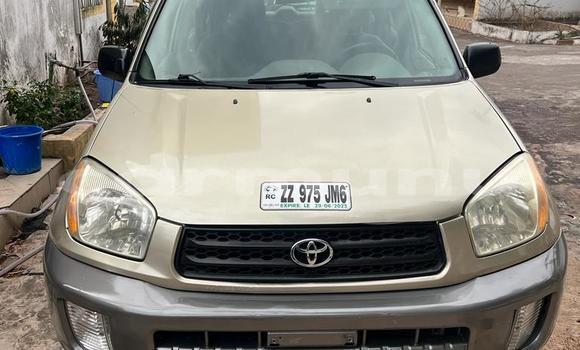 Acheter Neuf Voiture Toyota RAV4 Beige à Brazzaville, Commune de Brazzaville Acheter Neuf Voiture Toyota RAV4 Beige à Brazzaville, Commune de Brazzaville