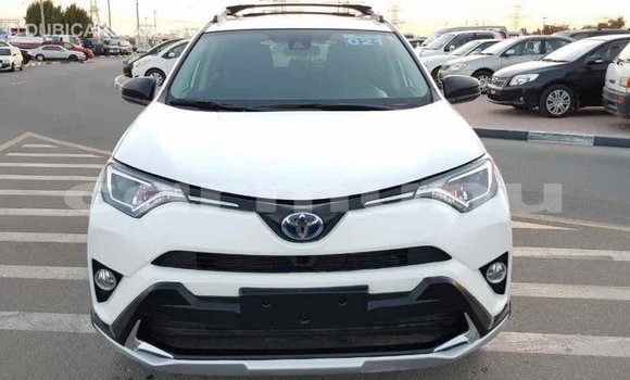 Buy Import Toyota RAV4 White Car in Import - Dubai in Region of Bouenza Buy Import Toyota RAV4 White Car in Import - Dubai in Region of Bouenza