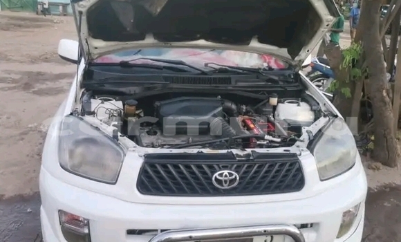 Acheter Occasion Voiture Toyota RAV4 Blanc à Pointe–Noire, Région du Kouilou Acheter Occasion Voiture Toyota RAV4 Blanc à Pointe–Noire, Région du Kouilou